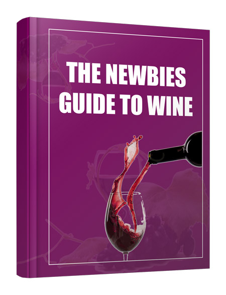 newbie guide wine