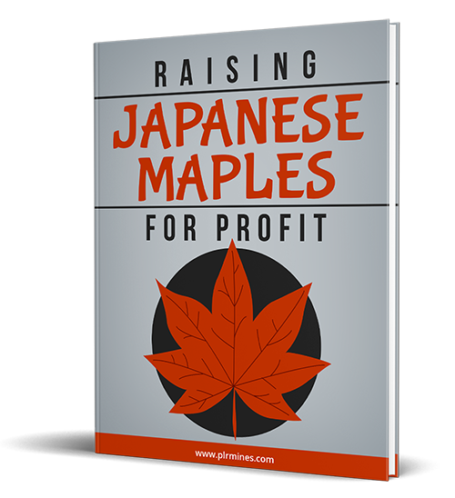 japanese maples profit