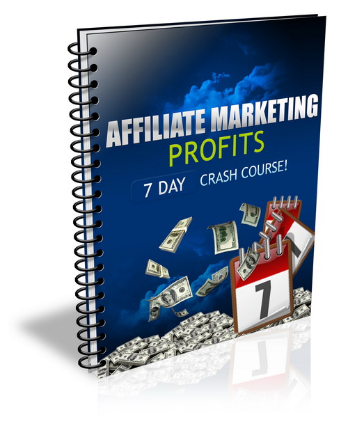 affiliate marketing profits crash course