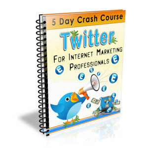 twitter internet marketing professionals