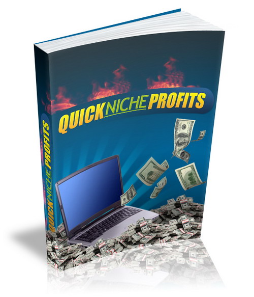 quick niche profits