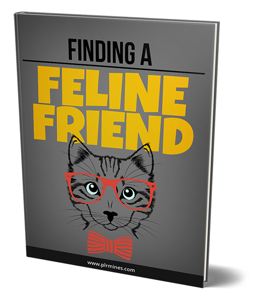 finding feline friend
