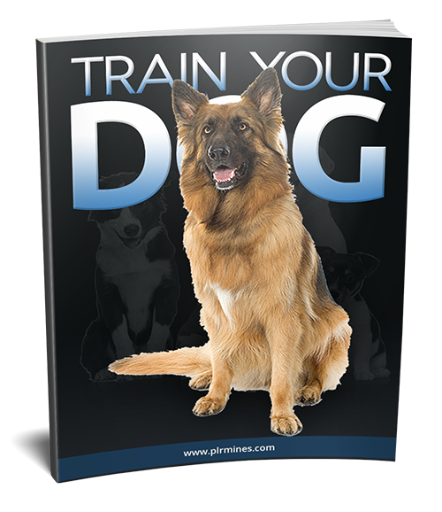 dog training tips