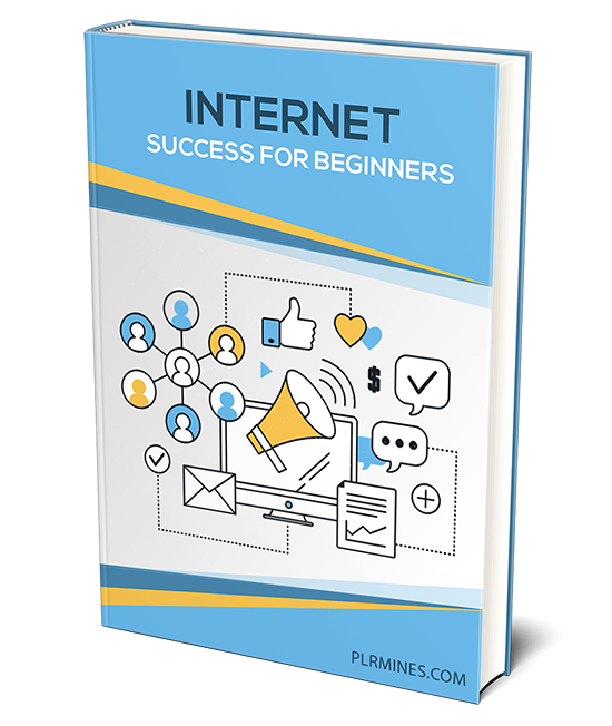 internet success beginners plr