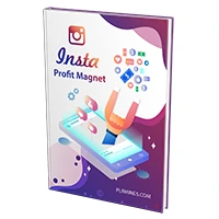 insta profit magnet ebook plr
