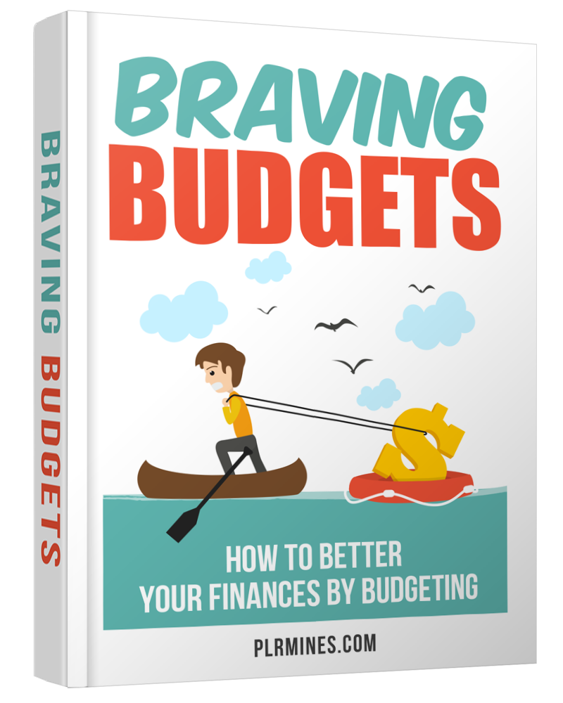 budgets braving - PLR ebook