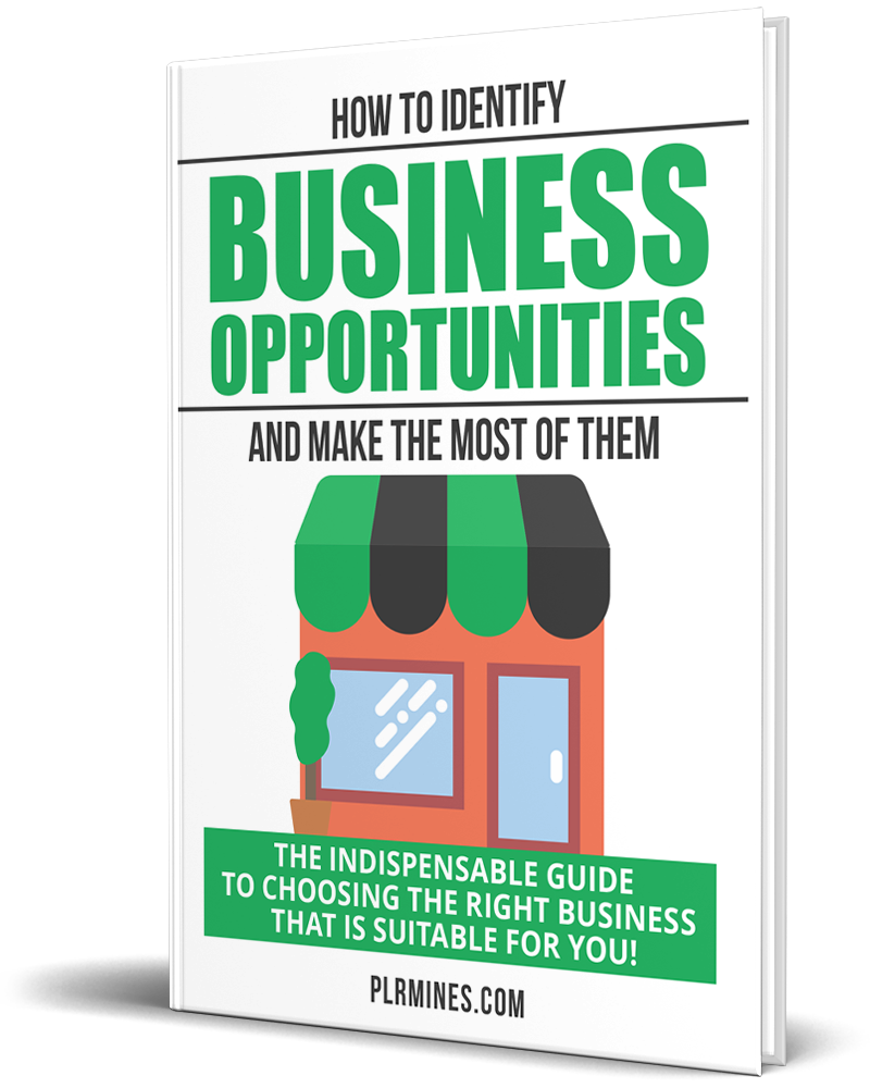 identify business opportunities make - plr