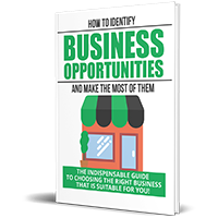 identify business opportunities make - plr