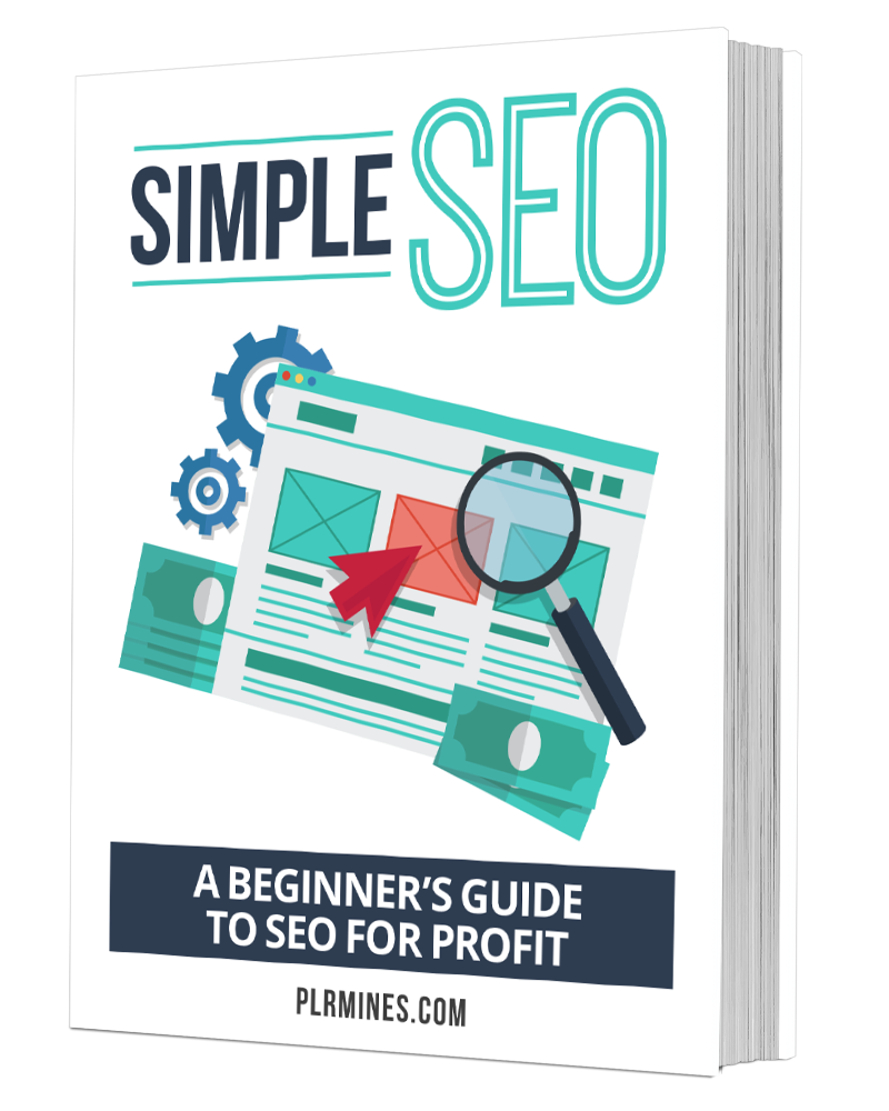 seo simple ebook with private license