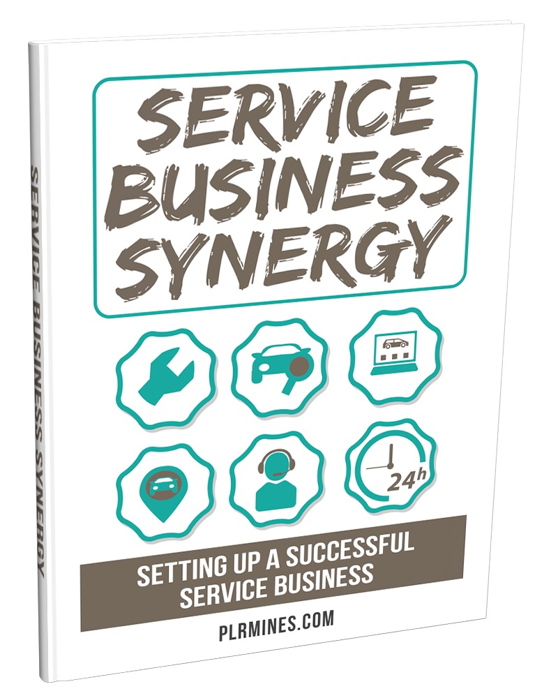 synergy business service - private license ebook