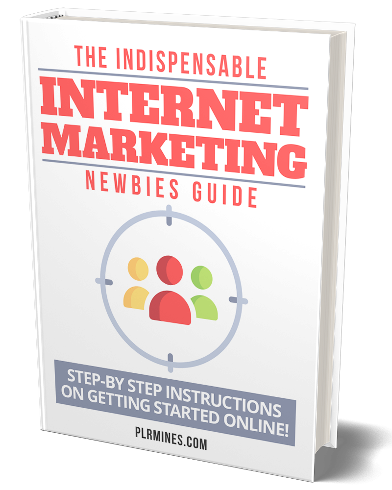 indispensable marketing internet newbies ebook with PLR