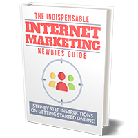 indispensable marketing internet newbies ebook with PLR