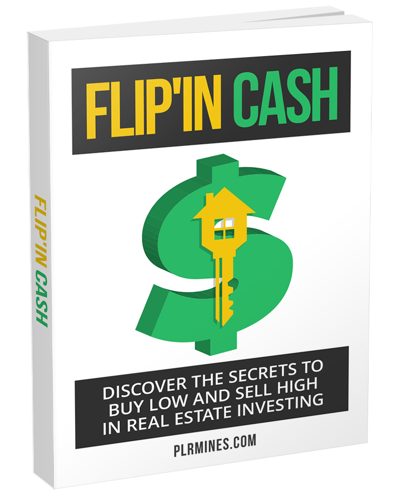 cash flip - PLR ebook