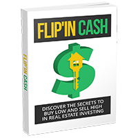 cash flip - PLR ebook