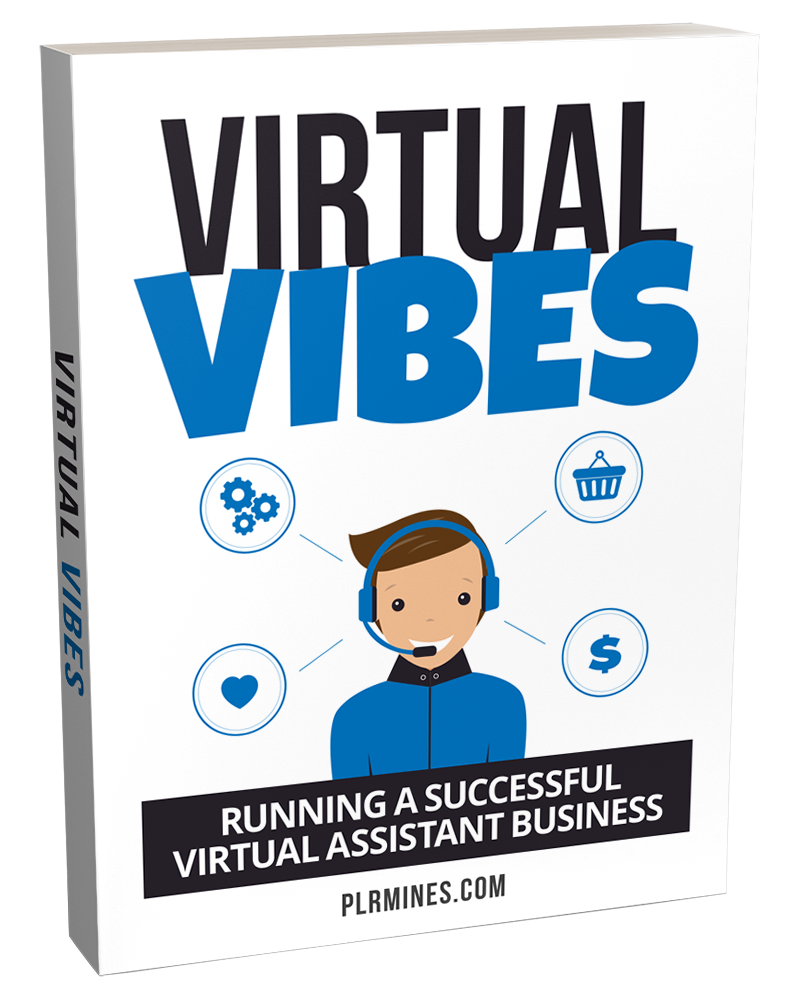 virtual vibes ebook with PLR