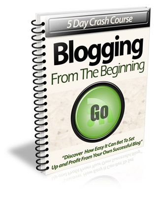 blogging beginning