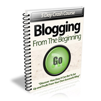 blogging beginning