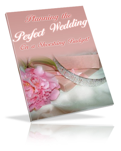 planning perfect wedding shoestring budget