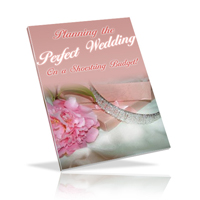 planning perfect wedding shoestring budget