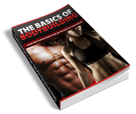 basics bodybuilding