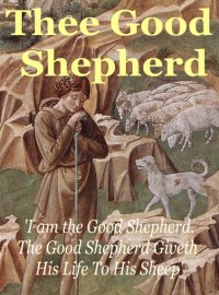 good shepherd