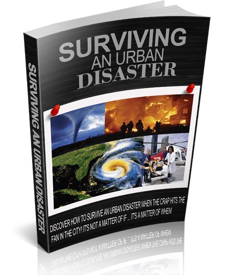 surviving urban disaster