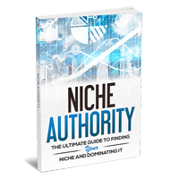 niche authority