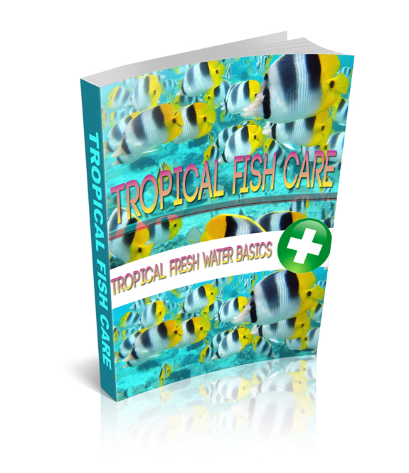 tropical fish care