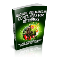 growing vegetables containers beginners