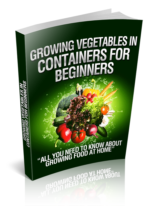 growing vegetables containers beginners