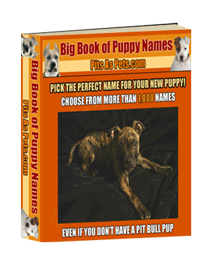 big book puppy names