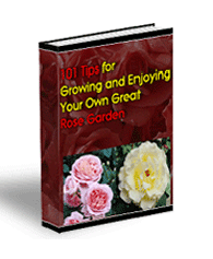 basics tips growing your own great