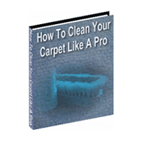 clean your carpet like pro