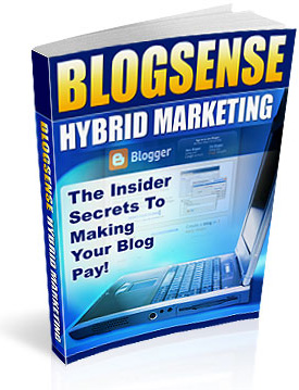 blog sense hybrid marketing