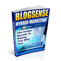 blog sense hybrid marketing