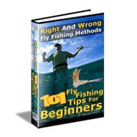 basics fly fishing tips beginners