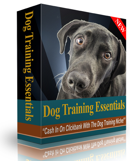 dog training essentials