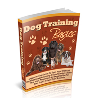 dog training basics