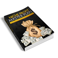 niche profit master plan