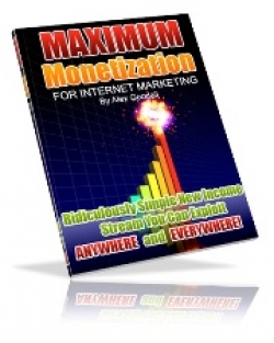 maximum monetization internet marketing