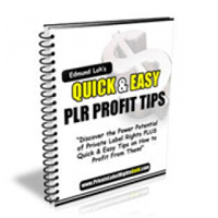 quick easy plr profit tips
