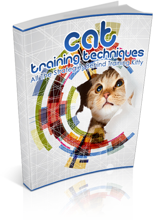 cat training techniques