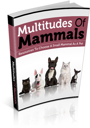 multitudes mammals