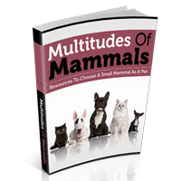 multitudes mammals