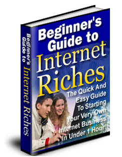 beginner guide internet riches