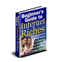 beginner guide internet riches
