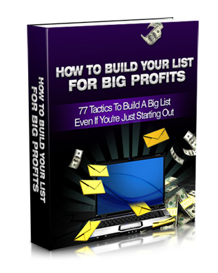 build your list big profits