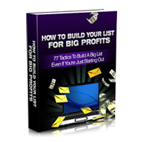 build your list big profits