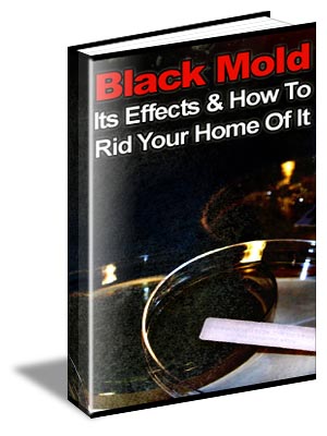 black mold secrets