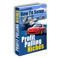 setup profit pulling niches